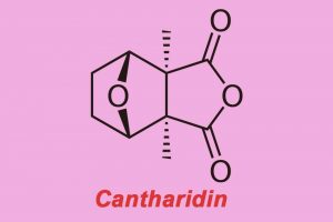 Cantharidin